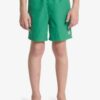 Quiksilver Everyday UPF – Quiksilver Everyday UPF 50 Παιδικό Αντηλιακό Μπλουζάκι